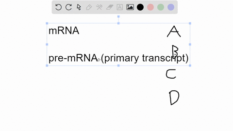 you-have-isolated-and-determined-the-mrna-sequence-for-a-targeted-eukaryotic-gene-why-wont-you-have-data-on-all-parts-of-the-gene-a-only-the-exons-translated-b-only-the-exons-and-introns-are-78897
