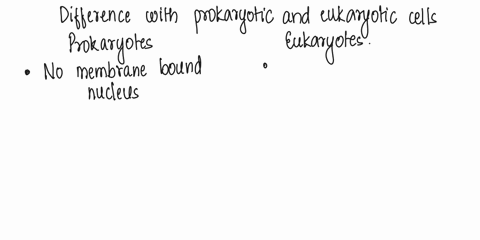 the-main-difference-between-a-prokaryotic-cell-and-a-eukaryotic-cell-is-81607