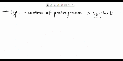 describe-the-light-reactions-of-photosynthesis-for-c3-plant-trace-the-path-of-a-carbon-dioxide-molecule-from-the-point-at-which-it-enters-a-plant-to-its-incorporation-into-a-glucose-molecule-64338