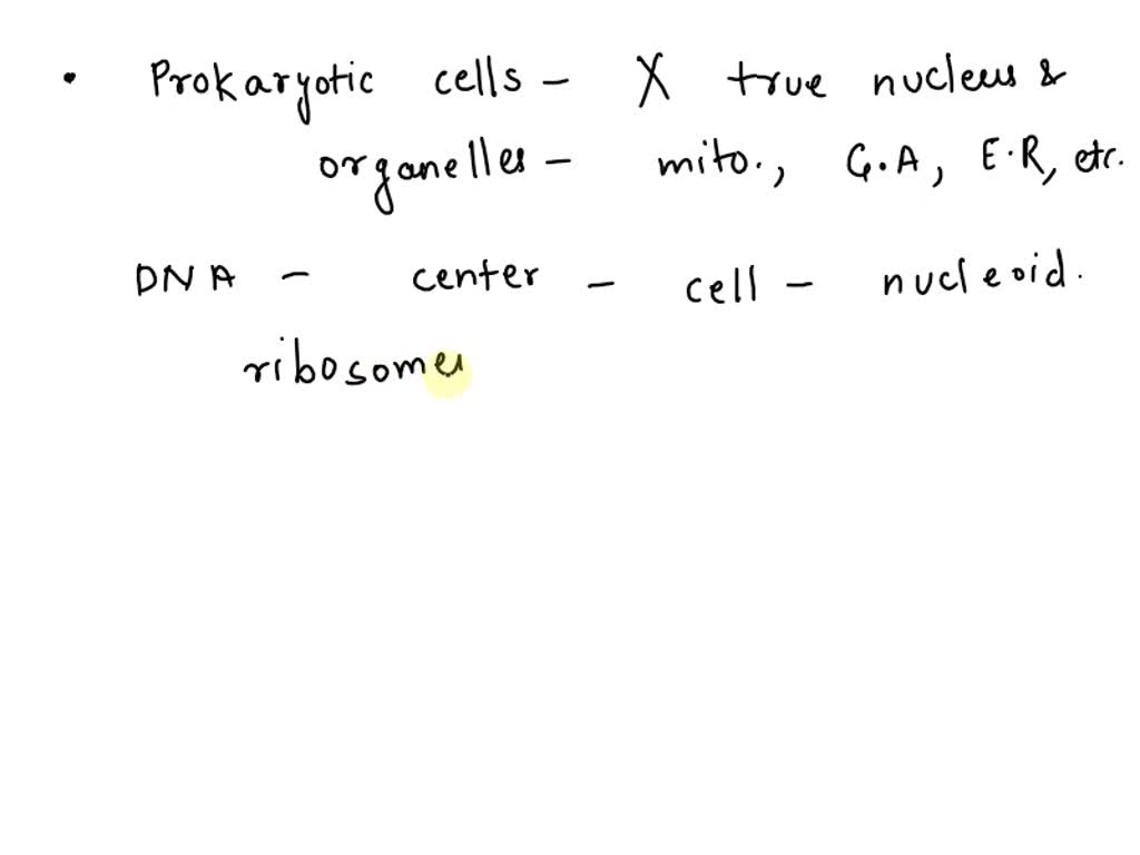 SOLVED: Which statement is true of prokaryotic and eukaryotic cells? A