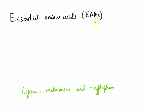 in-general-the-protein-quality-in-grains-would-be-most-improved-by-the-addition-of-a-plant-protein-rich-in-____-40788