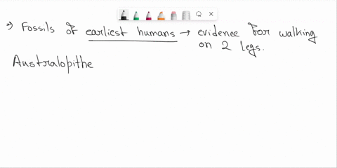 1-which-of-the-following-hominin-had-the-best-walking-abilities-sahelanthropus-orrorin-australopithecus-ardipithecus-2-a-gene-is-a-segment-of-dna-that-has-protein-coding-information-true-fal-38678