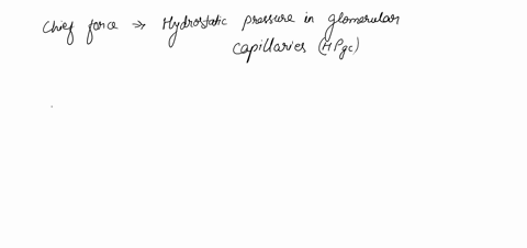 part-a-what-the-chief-force-pushing-water-and-solutes-out-of-the-blood-and-across-ihe-filtration-membrane-of-the-glomerulus-gomenint-cpalt-eqnnt-ntnan-j0-mm-ho-feeni-mfp-net-fiitrallon-ploss-68606