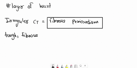 which-layer-is-made-of-dense-irregular-connective-tissue-multiple-choice-epicardium-myocardium-serous-pericardium-endocardium-fibrous-pericaraium-35396