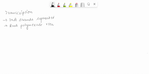plzzz-help-im-being-timed-question-4-during-the-process-of-transcription-which-of-the-following-events-occurs-directly-after-rna-polymerase-recognizes-the-transcription-start-site-of-a-gene-22214