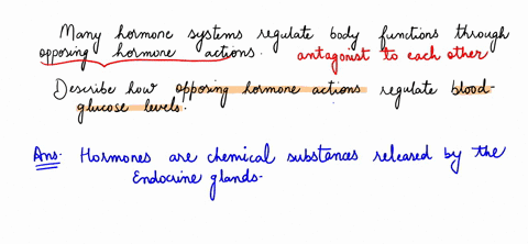many-hormone-systems-regulate-body-functions-through-opposing-hormone-actions-describe-how-opposing-03952