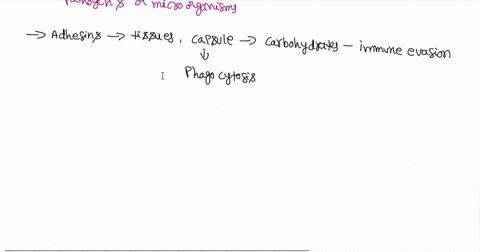 virulence-factors-are-cellular-structures-or-traits-which-increase-the-ability-of-a-microbe-several-prokaryotic-cellular-structures-can-serve-as-virulence-factors-and-increase-the-disease-ca-62155