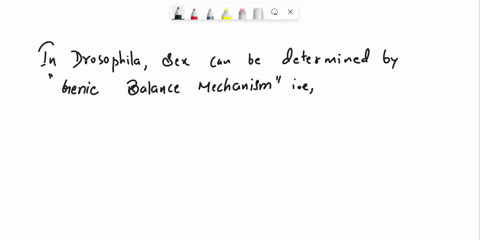 how-is-sex-determined-in-drosophila-by-the-ratio-of-the-number-of-x-chromosomes-to-the-number-of-y-chromosomes-by-the-number-of-y-chromosomes-to-the-number-of-sets-of-autosomes-by-the-ratio-09025