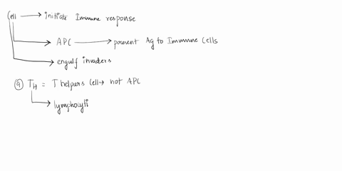 question-18-2pts-which-of-the-following-cells-initiates-an-immune-response-by-acting-as-an-antigen-presenting-cell-engulfing-an-invader-and-presenting-its-antigens-to-other-immune-cells-ohei-94838