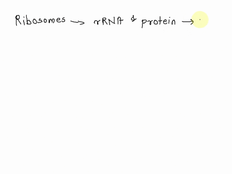 which-of-the-following-is-correct-regarding-bacteria-a-drugs-that-affect-the-cytoskeletal-elements-will-not-affect-the-morphology-of-bacteria-b-ribosomes-are-free-in-the-cytoplasm-and-can-tr-46157