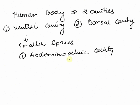 identify-the-abdominopelvic-region-that-is-left-lateral-and-superior-to-the-hypogastric-region-51571