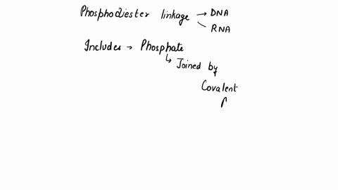 each-phosphodiester-linkage-in-dna-or-rna-includes-a-phosphate-joined-by-covalent-bonds-to-a-two-b-5-08072