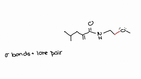 what-types-of-orbitals-are-used-to-make-bond-in-the-structure-below-sp3-sp3-sp-sp-sp-sp-63085