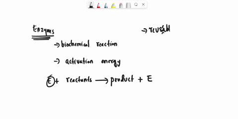 part-c-why-are-enzymes-important-to-biological-systems-enzymes-are-reuseable-enzymes-prevent-unwanted-chemical-by-products-from-forming-enzymes-increase-the-energy-barrier-required-of-chemic-96288