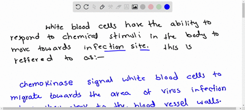 white-blood-cells-have-the-ability-to-respond-to-chemical-stimuli-in-the-body-to-move-toward-sites-of-infection-this-is-referred-to-as-diapedesis-phagocytosis-filtration-chemotaxis-51816