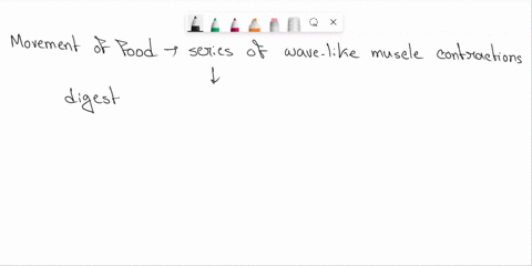 what-is-the-involuntary-movement-of-the-muscles-that-move-food-through-the-digestive-system-59764