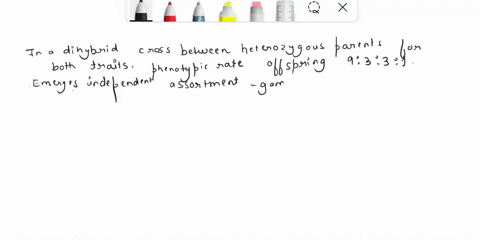 in-any-dihybrid-cross-where-both-parents-are-heterozygous-for-both-traits-what-is-the-phenotypic-ratio-of-the-offspring-64676