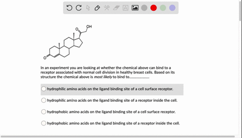 in-an-experiment-you-are-looking-at-whether-the-chemical-above-can-bind-to-a-receptor-associated-with-normal-cell-division-in-healthy-breast-cells-based-on-its-structure-the-chemical-above-i-68416
