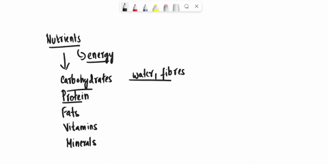 what-does-the-term-essential-nutrients-mean-such-as-essential-amino-acids-or-essential-fatty-acids-select-one-a-nutrients-that-some-part-of-the-body-must-have-to-remain-healthy-b-nutrients-t-51995