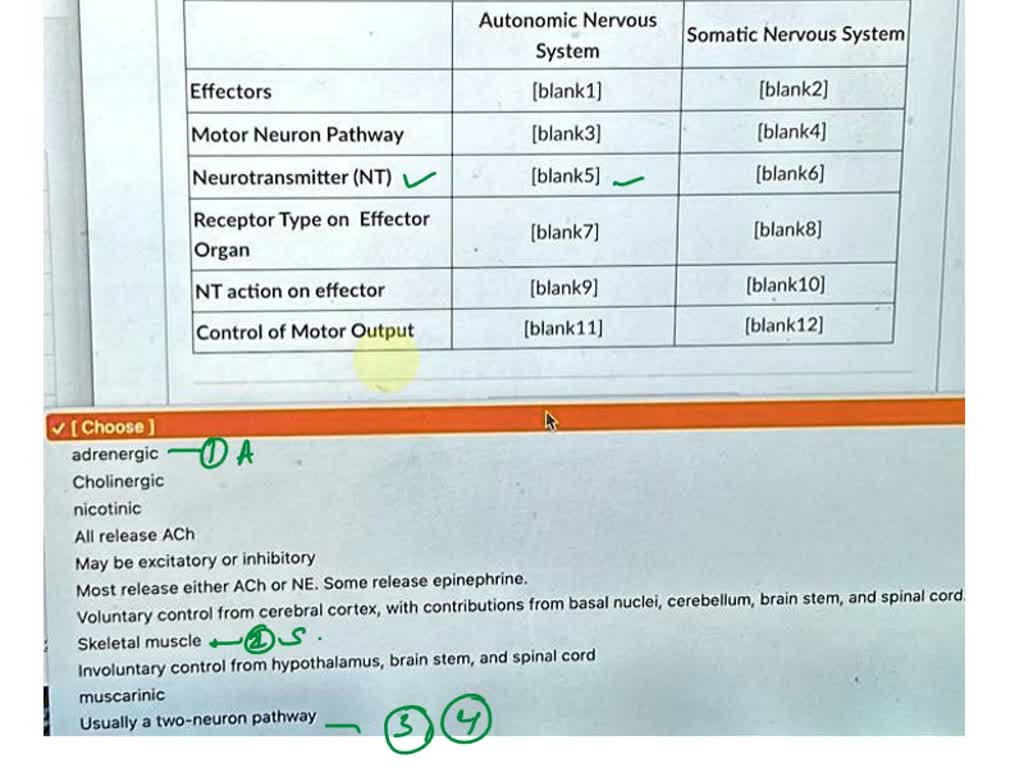 SOLVED: [Choose ] adrenergic Cholinergic nicotinic The table below