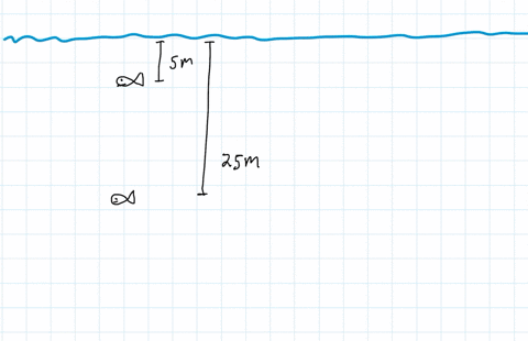 consider-a-fish-swimming-5-mathrmm-below-the-free-surface-of-water-the-increase-in-the-pressure-exer-77002