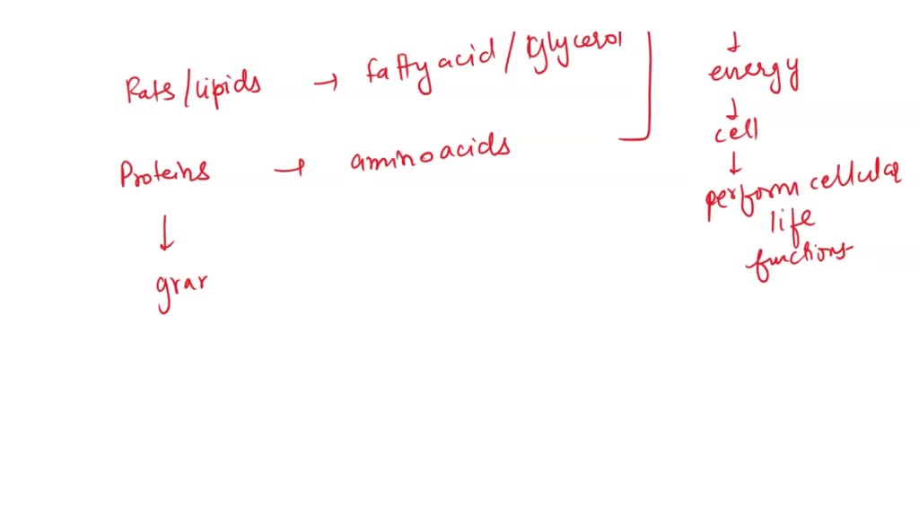 SOLVED Which group consists only of nutrients that are classified as energyyielding nutrients