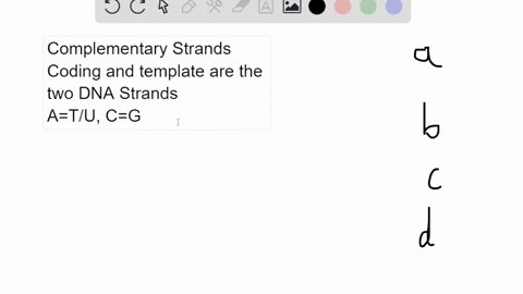 the-sequence-below-is-the-coding-strand-of-the-first-20-codons-of-the-human-beta-globin-gene-5-atg-gtg-cat-ctg-act-cct-gag-gag-aag-tct-gcc-gtt-act-gcc-ctg-tgg-ggc-aag-gtg-aac-3-what-is-the-s-77681