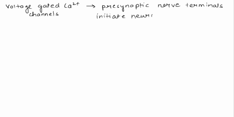 synaptic-transmission-requires-a-vast-number-of-molecular-interactions-taking-place-on-both-ends-of-synaptic-cleft-indicate-each-of-the-below-molecules-events-or-effects-that-is-associated-w-60763