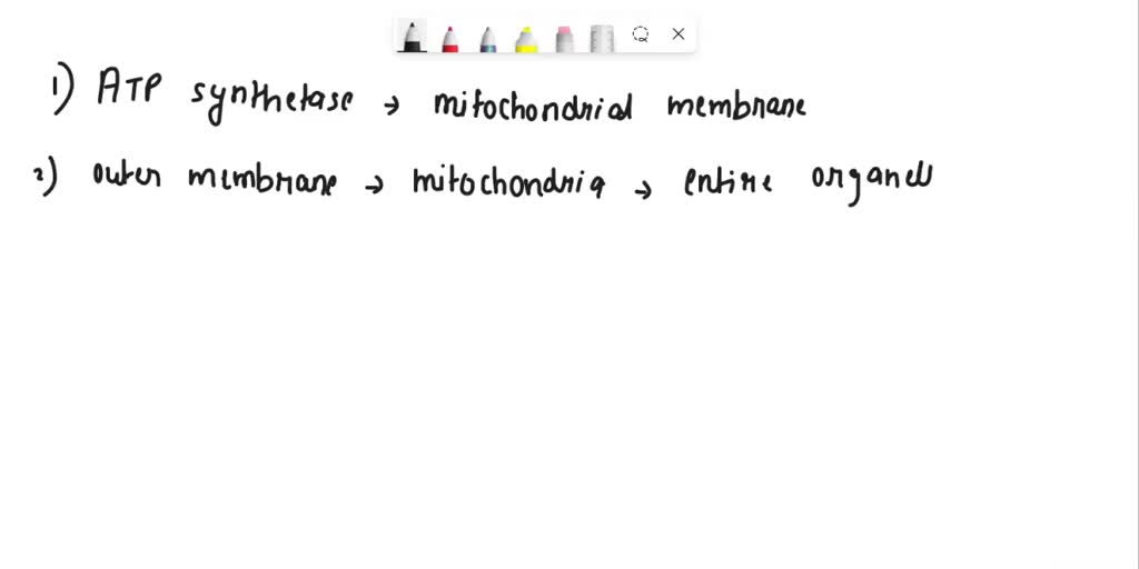 SOLVED: Label the indicated regions of the mitochondria using the ...