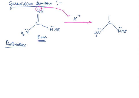 protonation-of-a-guanidino-compound-occurs-on-the-double-bonded-nitrogen-rather-than-on-either-of-the-single-bonded-nitrogens-draw-the-three-possible-protonation-products-and-any-resonance-s-89986