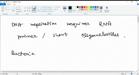 3-which-of-the-following-is-not-needed-for-bacterial-transcription-a-dna-primers-b-ntps-c-sigma-factors-d-rna-polymerase-e-terminator-10883
