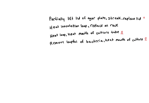 question-2-pointl-st-put-the-fcllowing-steps-ordcrtolindicatc-cofect-broth-agar-phte-trenter-parttally-fc-the-iid-0f-the-jgar-plate-and-with-the-loo-pently-streat-thc-surface-of-the-agar-pla-54357