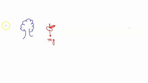 an-apple-falls-from-a-tree-and-feels-no-air-resistance-as-it-is-falling-which-of-these-statements-about-it-are-true-a-only-its-momentum-is-conserved-b-only-its-total-mechanical-energy-is-con-54136