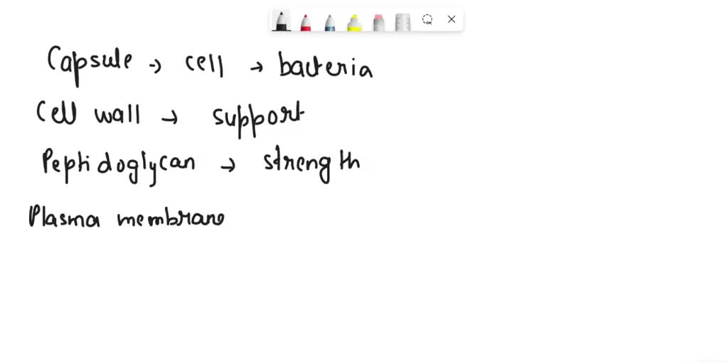 solved-questions-label-the-parts-of-the-typical-gram-negative