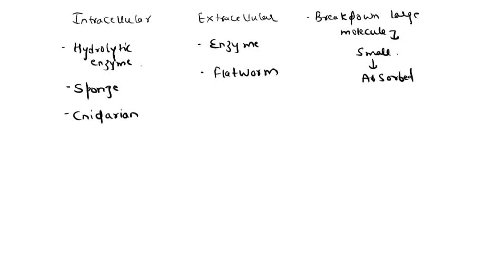SOLVED Drag and drop each item to the correct mode of digestion