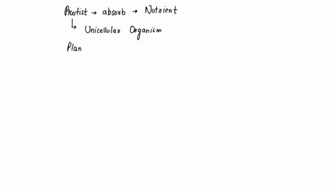 protists-with-the-capabilities-to-perform-photosynthesis-and-to-absorb-nutrients-from-dead-organisms-are-called-______________-a-photoautotrophs-b-mixotrophs-c-saprobes-d-heterotrophs-44656
