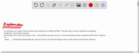 under-starvation-conditions-organisms-can-use-proteins-and-amino-acids-as-sources-of-energy-deaminat-45236