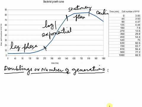 question-3-from-the-data-given-below-calculate-draw-the-bacterial-growth-graph-and-show-growth-phases-15-point-the-number-of-doublings-over-the-total-growth-period-15-point-the-generation-ti-57186