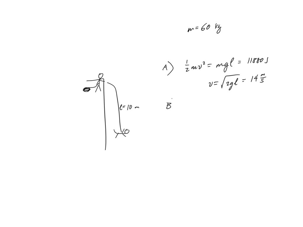 7 The Physics of Bungee Jumping (10 pts) In this problem you will
