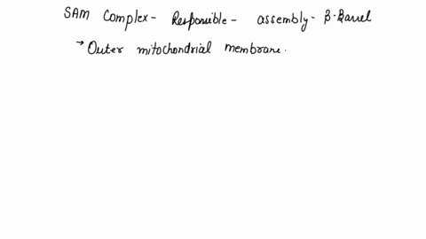 which-of-the-following-moves-proteins-across-the-outer-mitochondrial-membrane-sam-complex-tom-complex-tim-23-complex-toc-89078