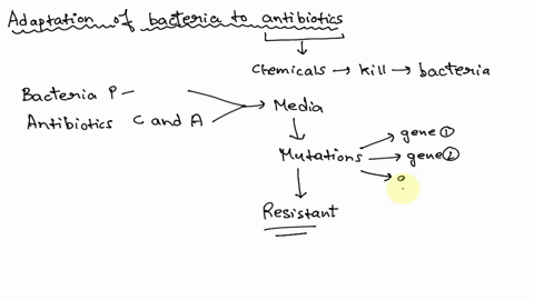 18-reseaothers-examined-the-ability-of-cultures-of-the-bacterium-pseudomonas-aeruginosa-to-adapt-to-antibiotics-ceftazidime-and-avibactam-when-they-are-administered-together-the-researchers-49666