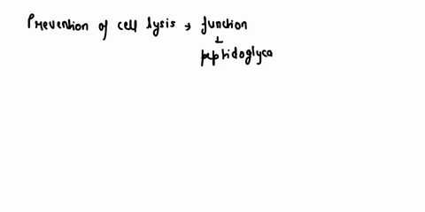 which-of-the-following-is-a-function-of-peptidoglycan-regulation-of-the-passage-of-nutrients-into-the-cytoplasm_-creation-of-a-gradient-of-protons-proton-motive-force-prevention-of-cell-lysi-51115