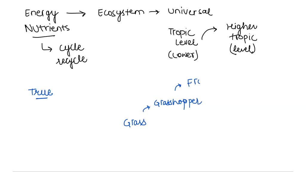 SOLVED: QUESTION 20 The movements of energy and nutrients through ...