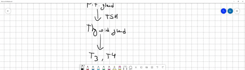 which-of-the-following-is-the-most-likely-explanation-for-hypothyroidism-in-a-patient-whose-iodine-l-32173