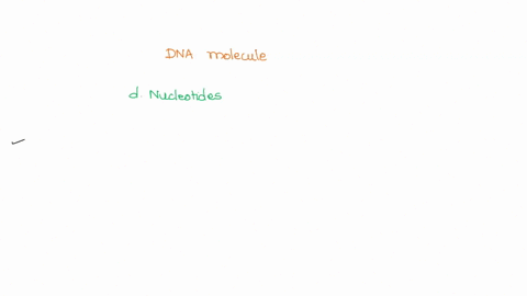 a-dna-molecule-consists-of-select-one-fatty-acid-chains_-b-polysaccharides_-c-amino-acids-d-nucleotides_-14696
