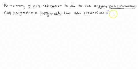 how-is-the-accuracy-of-dna-replication-is-maintained-65984
