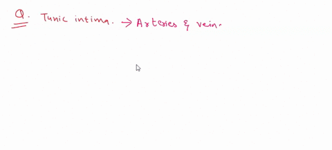 1which-layer-stains-more-deeply-tunica-media-or-adventitia-2-which-of-the-sublayers-of-the-tunica-intima-is-easiest-to-see-on-an-he-slide-of-aorta-elastic-artery-3-look-for-blood-vessels-in-61145