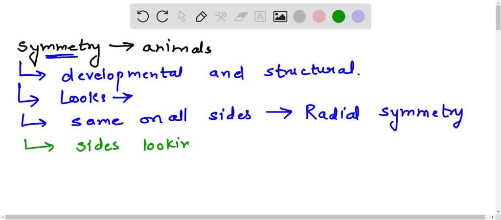 SOLVED: Give an account of the different types of symmetry in animals