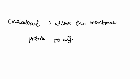 these-data-suggest-which-of-the-following-the-cells-used-in-the-study-do-not-have-membrane-microdomains_-fillipin-induces-the-formation-of-membrane-microdomains-x-cfp-and-y-yfp-are-near-neig-41074
