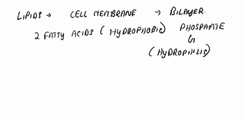 question-2-20-tube-standard-albumin-absorbance-540-nm-000-0033-number-mgml-000-1-2-020-3-050-0095-4-070-0180-5-10-0183-u1-u2-0125-0172-21-when-using-the-spectrophotometer-what-is-the-purpose-59098